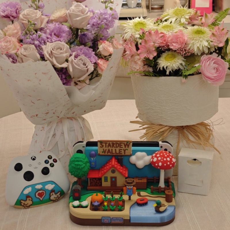 Switch Dock Stardew Valley Çif - Gaming Console In incelemesi ve fiyatı